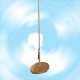 Wooden plate swing